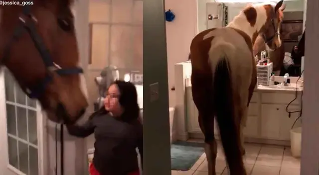 La niña y el caballo se ganaron el cariño de los internautas. La niña y el caballo se ganaron el cariño de los internautas.