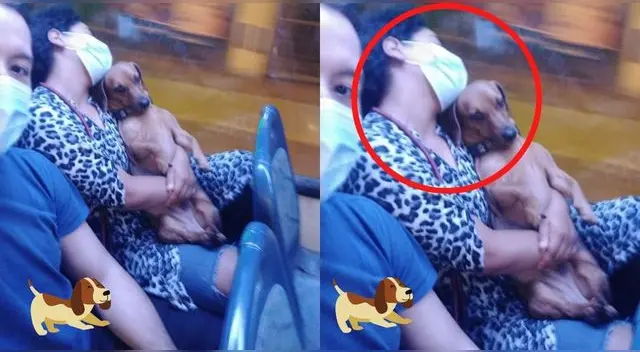 La postal ha conmovido a cientos de usuarios que le mandaron tiernos y graciosos comentarios.