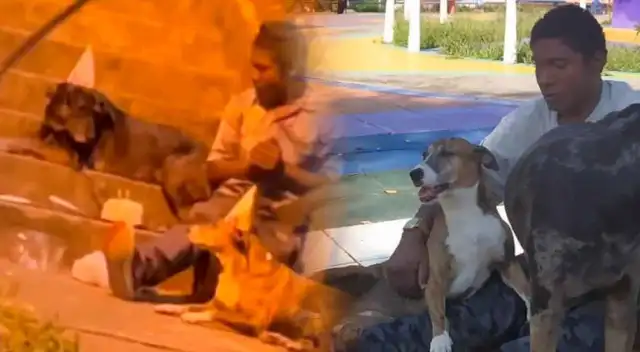 Los perros son como sus hermanos y los cuida mucho.