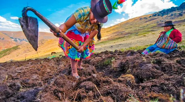 Bono Wanuchay de 350 soles. Bono Wanuchay de 350 soles.