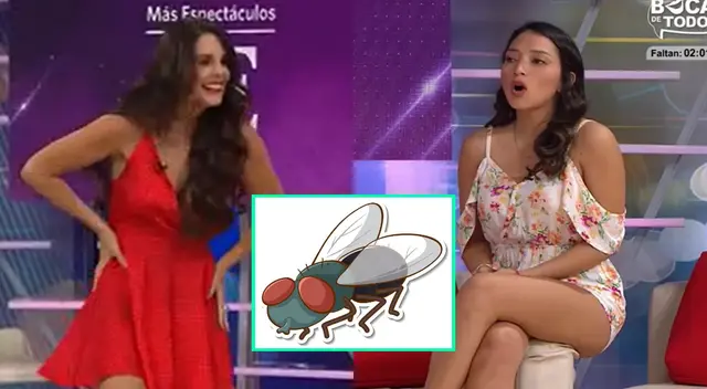 La conductora Rebeca Escribens sorprendió con un picante comentario al hablar de la novela Maricucha, y no esperó lo que le diría la reportera Ximena Dávila.