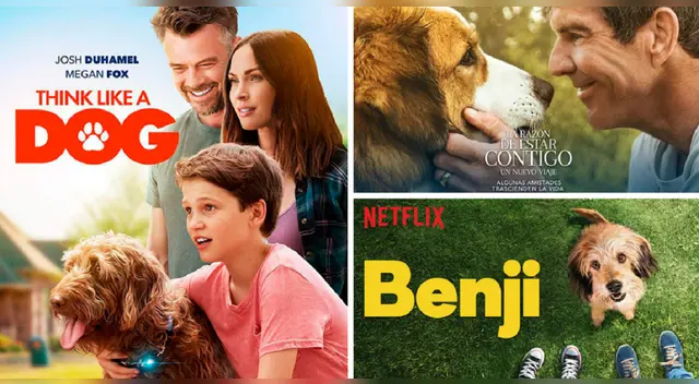 5 películas para ver en Netflix si te gustó ‘Misterio’, el lobo que fue confundido por un perro