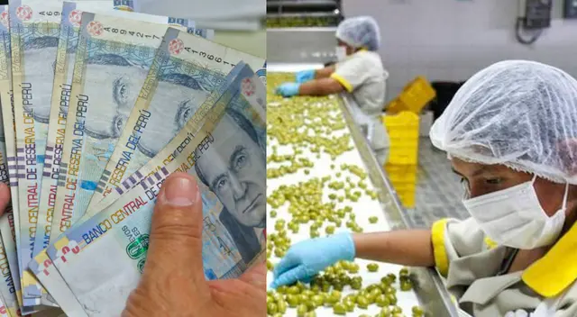 Bono de 210 soles se entregará al sector público y privado.