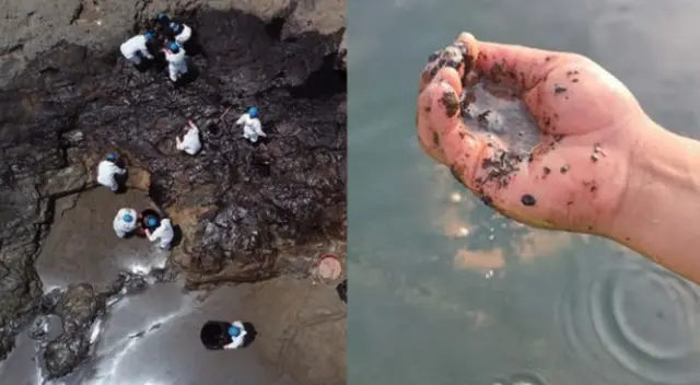 Derrame de petróleo en Ventanilla: alcalde cuestiona que Repsol haya dispuesto que solo 15 personas limpien 4 kilómetros Derrame de petróleo en Ventanilla: alcalde cuestiona que Repsol haya dispuesto que solo 15 personas limpien 4 kilómetros