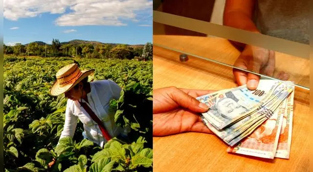 Deste el 18 de enero del 2022 ya inicio el pago del Bono Wanuchay.