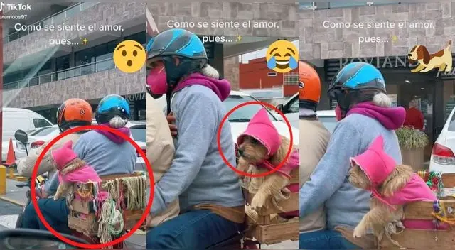 La perrita vestía una gorrita rosada por el viento y una capucha como si fuese caperucita.