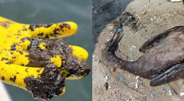 Derrame de petróleo en Ventanilla: Procuraduría exigirá indemnización y tomará acciones legales Derrame de petróleo en Ventanilla: Procuraduría exigirá indemnización y tomará acciones legales