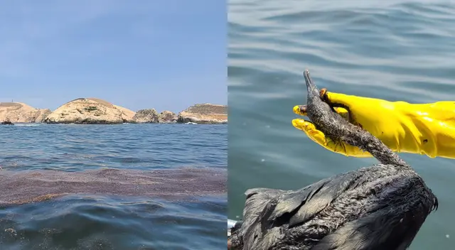 Repsol entregará canastas a pescadores afectados por derrame de petróleo en Ventanilla, según Minam