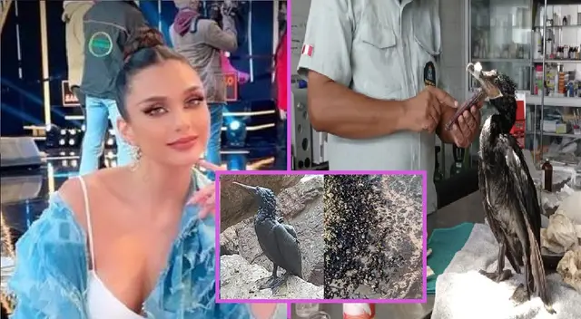 Janick Maceta se pronuncia por derrame de petróleo en Ventanilla.