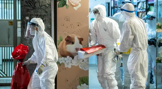 Trabajadores del Departamento de Agricultura, Pesca y Conservación de Hong Kong retiran pequeños animales de la tienda de mascotas Little Boss. CRÉDITO: Trabajadores del Departamento de Agricultura, Pesca y Conservación de Hong Kong retiran pequeños animales de la tienda de mascotas Little Boss. CRÉDITO: