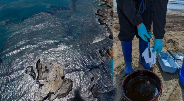 Científicos de Imarpe realizaron evaluación en la zona costera de Ventanilla.