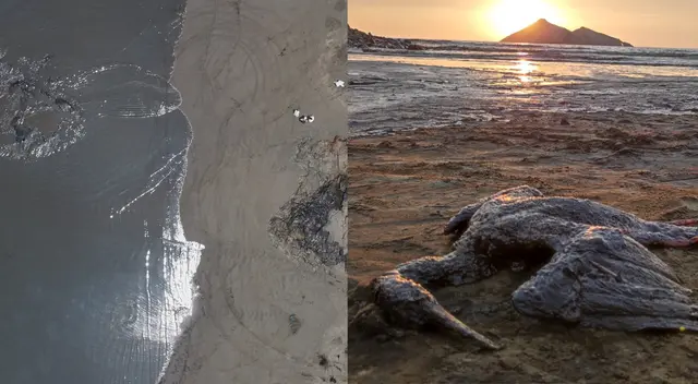 Derrame de petróleo en Ventanilla: impacto en pescadores artesanales y bañistas [VIDEO]