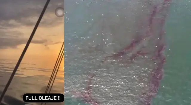 Imágenes fueron tomadas el día sábado 15 de enero que se produjo el derrame de petróleo