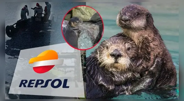 La escena ha generado gran indignación en redes. La escena ha generado gran indignación en redes.