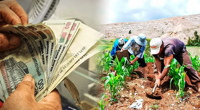 Conoce el LINK oficial del Bono Wanuchay de 350 soles