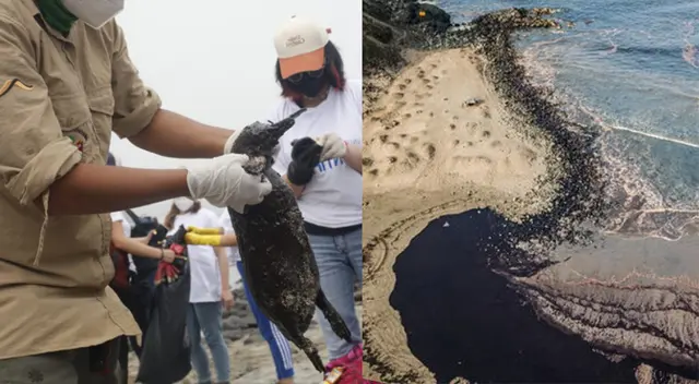 El desplazamiento será para hacer ver al mundo el rechazo del pueblo peruano hacia empresas negligentes. El desplazamiento será para hacer ver al mundo el rechazo del pueblo peruano hacia empresas negligentes.