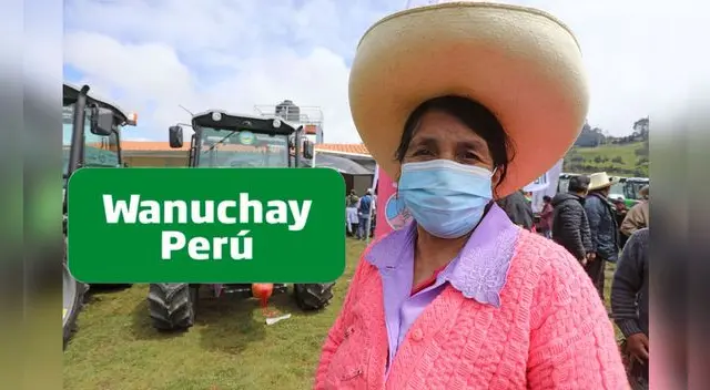 Link oficial de consulta para ser beneficiario del Bono Wanuchay