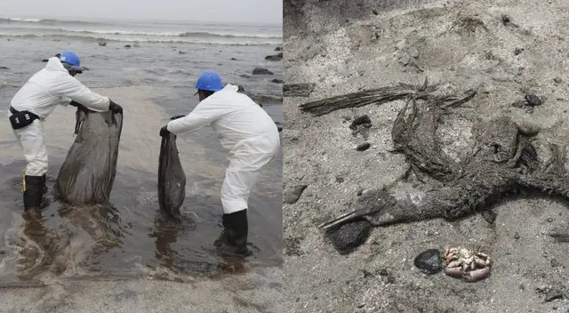 Ministro del Ambiente no descarta demanda internacional contra Repsol