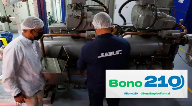 Bono Extraordinario de 210 soles