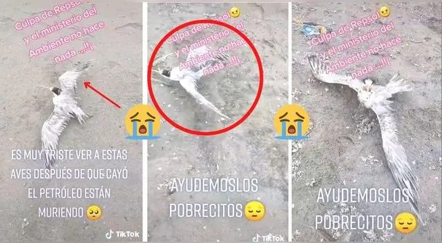 Panorama desgarrador. El video es lamentable y la empresa Repsol sigue sin hacerse cargo. Panorama desgarrador. El video es lamentable y la empresa Repsol sigue sin hacerse cargo.