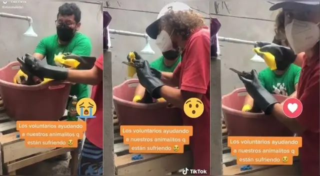 Los muchachos se ganaron las felicitaciones de los usuarios en la red social por su acción desinteresada.