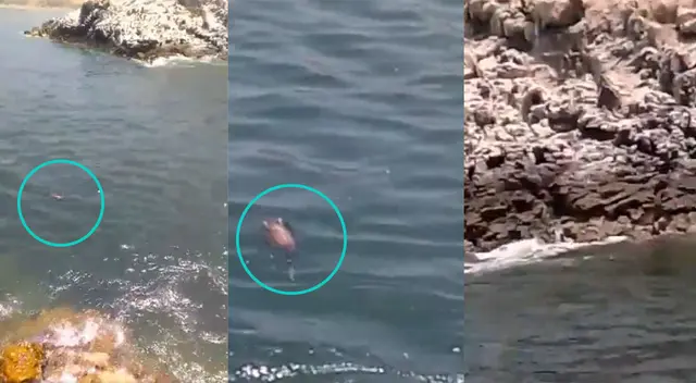 Pescador evidencia que aún playa de Ventanilla continua contaminada. Pescador evidencia que aún playa de Ventanilla continua contaminada.