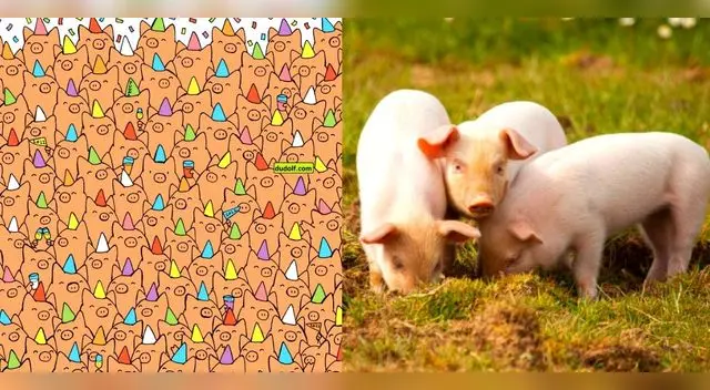 Retate ya con este ejercicio visual. Retate ya con este ejercicio visual.