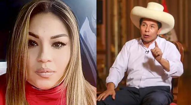 Pedro Castillo reconoció que se reunió con Karelim López