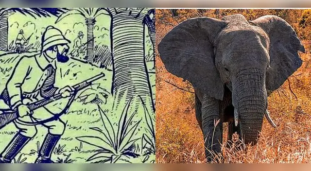 Debes voltear la imagen para dar con el elefante escondido. Debes voltear la imagen para dar con el elefante escondido.