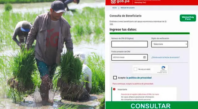 Bono Wanuchay Perú se entregará hasta julio del 2022.