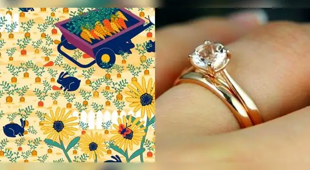 Solo tiene 20 segundos para dar con la respuesta.