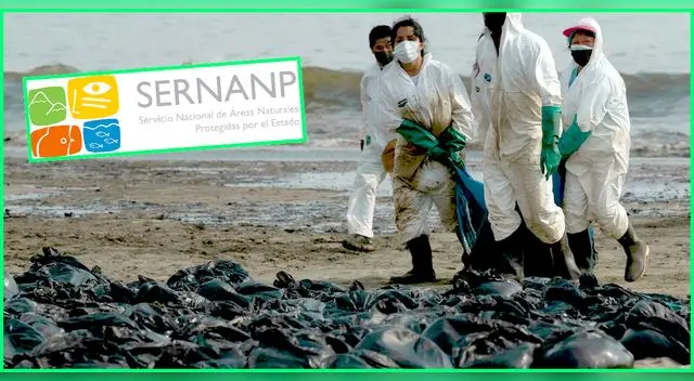 Los daños generados por el derrame de petróleo de Repsol en el litoral peruano y que actualmente afectan dos áreas naturales protegidas son 'incalculables'. Los daños generados por el derrame de petróleo de Repsol en el litoral peruano y que actualmente afectan dos áreas naturales protegidas son 'incalculables'.