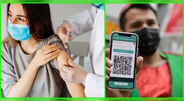 Conozca cómo descargar su carnet de vacunación.