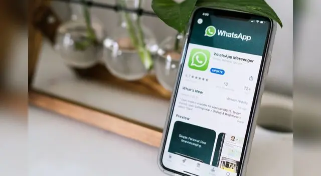 Siempre es recomendable eliminar archivos que te ocupan mucho espacio en tu celular.