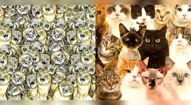 Este acertijo visual te puede confundir y debes prestar bastante atención.