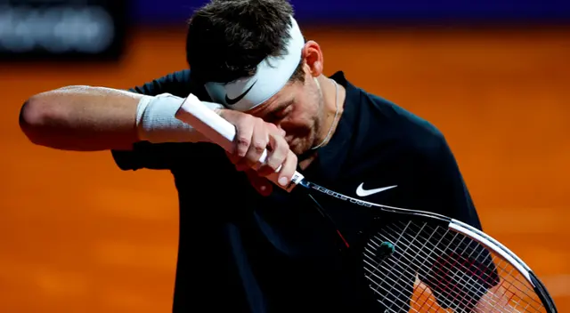 Juan Martín del Potro