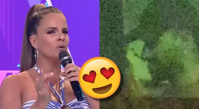 Alejandra Baigorria dio a conocer que ella ya había visto a Flavia Laos y Austin Palao juntos, y les dio todo su apoyo en una relación.