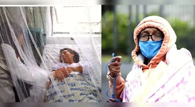 En embas enfermedades debes guardar reposo hasta recuperarte de los síntomas. En embas enfermedades debes guardar reposo hasta recuperarte de los síntomas.