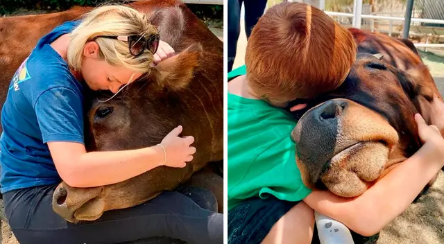 Los animales son compañeros sinceros y leales que pueden brindar apoyo emocional a los humanos en los momentos difíciles de la vida, indicó la fundadora de The Gentle Barn, Ellie Laks.