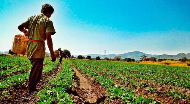 Imagen referencial. El hijo del campesino resultó herido y fue llevado al hospital. Imagen referencial. El hijo del campesino resultó herido y fue llevado al hospital.