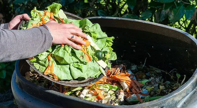 Desarrollaron el proyecto MikuyTec