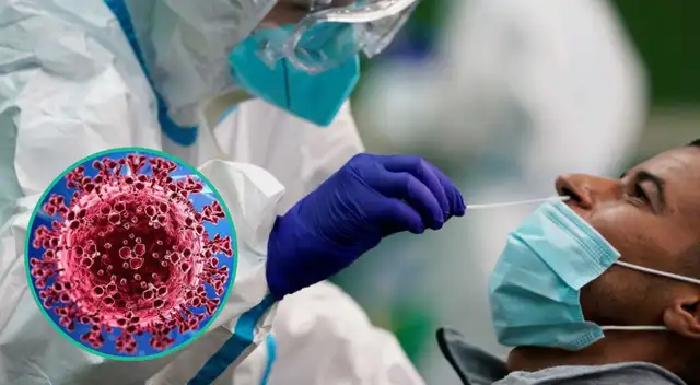 El tiempo de incubación es solo de 3 días. Después de este período aparecen los primeros síntomas.