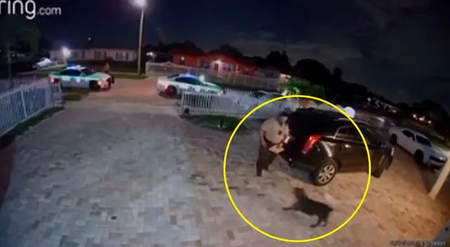 El perro fue asesinado cuando estaba a punto de atacar. El perro fue asesinado cuando estaba a punto de atacar.