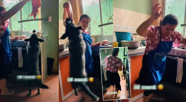 Peculiar escena de la dueña con su perro se hizo viral en las redes sociales.