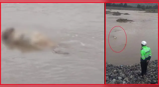 Hallan cuerpo de un hombre flotando en las aguas del Río Mantaro.