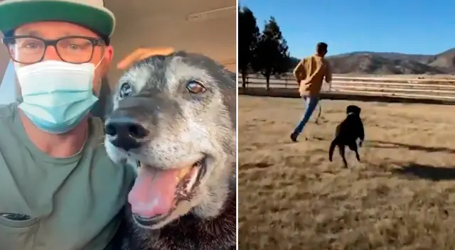 Zach manifestó que Henry pasará sus días restantes con su nueva familia y le dará mucho amor. Zach manifestó que Henry pasará sus días restantes con su nueva familia y le dará mucho amor.