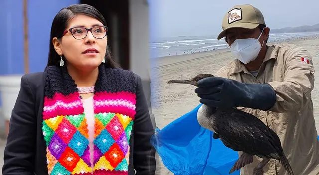 Parlamentaria pudo salvar la vida de un animal que se encontraba grave. Parlamentaria pudo salvar la vida de un animal que se encontraba grave.