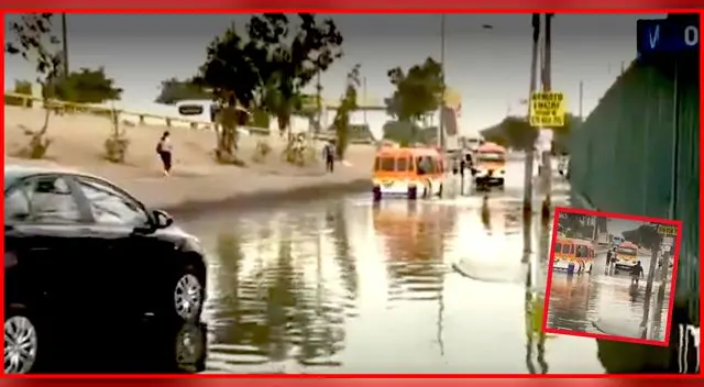 Varios buses quedaron varados por el aniego suscitado en horas de la madrugada.