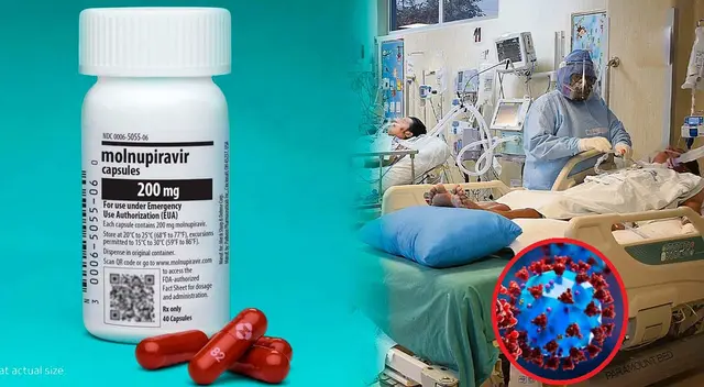 Conoce qué es el Molnupiravir y cómo funciona Conoce qué es el Molnupiravir y cómo funciona