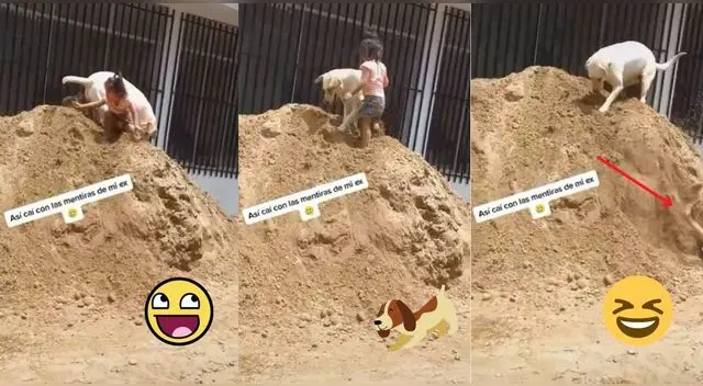 El video ha generado risas y nostalgia en los usuarios por la forma como la pequeña jugaba con el can. El video ha generado risas y nostalgia en los usuarios por la forma como la pequeña jugaba con el can.